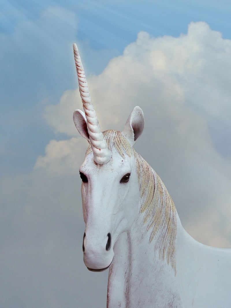 Magical Unicorn